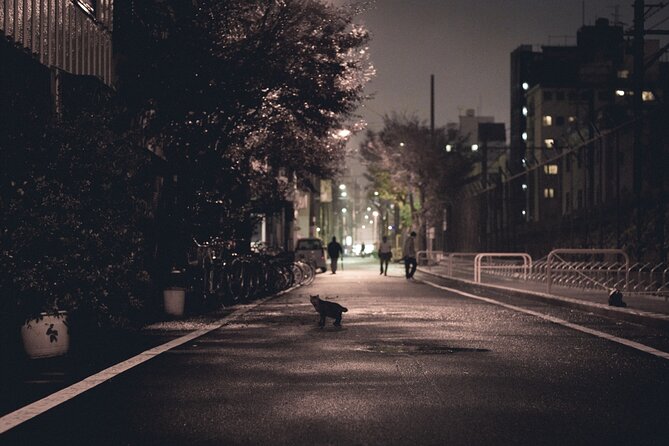 The Dark Side of Osaka Walking Tour - Tour Details