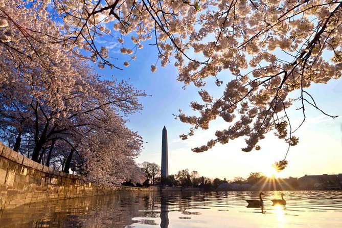 The DC Cherry Blossom Tour - Tour Duration