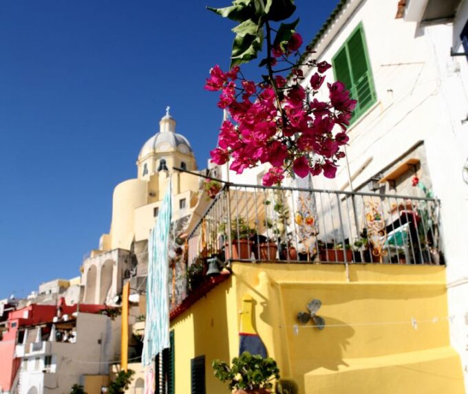 The Dessert Procida - Customer Feedback