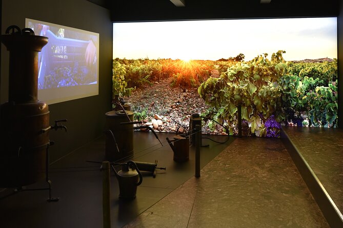 The Discovery Trail at Maison Brotte - Accessibility and Infant Accommodation