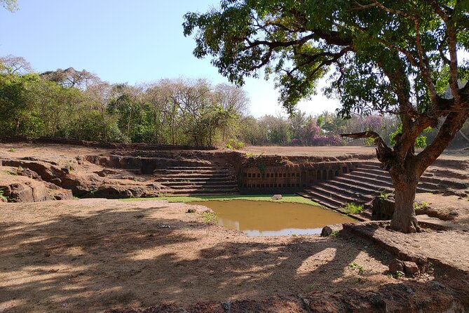 The Divar Island Exploration - Confirmation and Accessibility