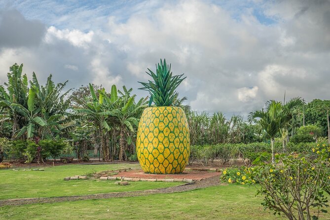 The Dole Plantation & North Shore Private Limousine VIP Tour! - Pickup Details