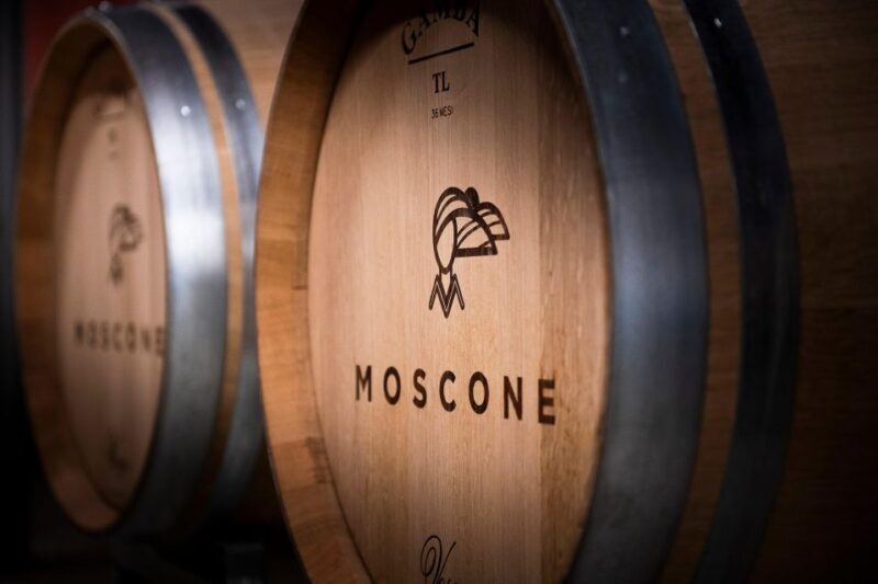 The Dosman: Winetasting in La Morra - The Significance of Piedmontese Wines