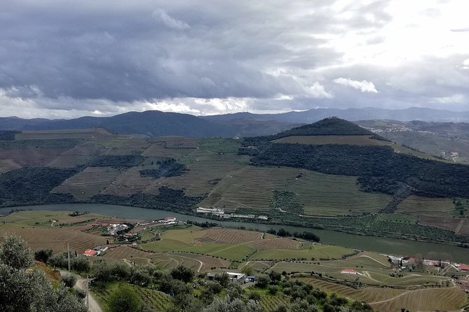 The Douro Valley Experience - Exploring the Douro Valley