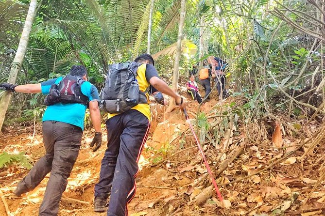 The Dusun : Jungle Trekking Adventure to Waterfall With Jungle Guide - Overview of the Jungle Trekking Tour