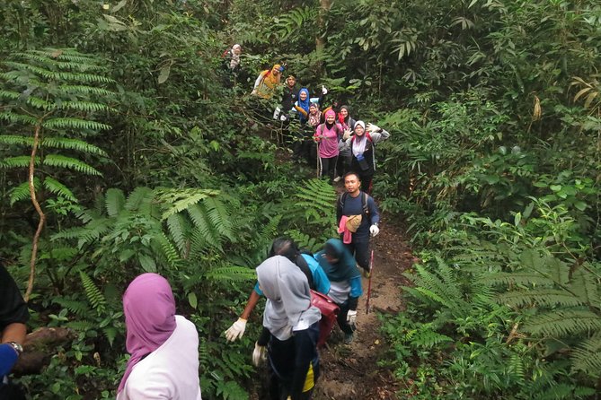 The Dusun : Jungle Trekking Adventure to Waterfall With Jungle Guide - Inclusions and Meeting Details