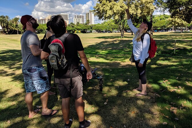 The East Waikiki Walking Tour - Tour Highlights