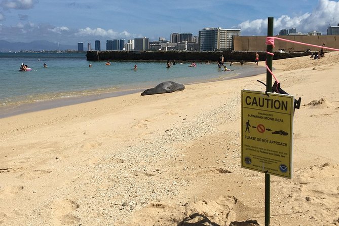 The East Waikiki Walking Tour - Nearby Attractions