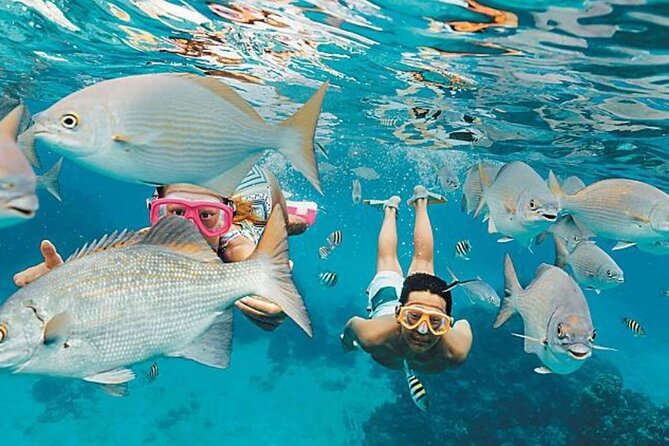 The El Cielo Palancar and Columbia Snorkeling Tour - Highlights of the Experience