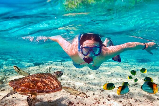 The El Cielo Palancar and Columbia Snorkeling Tour - Health and Safety Considerations