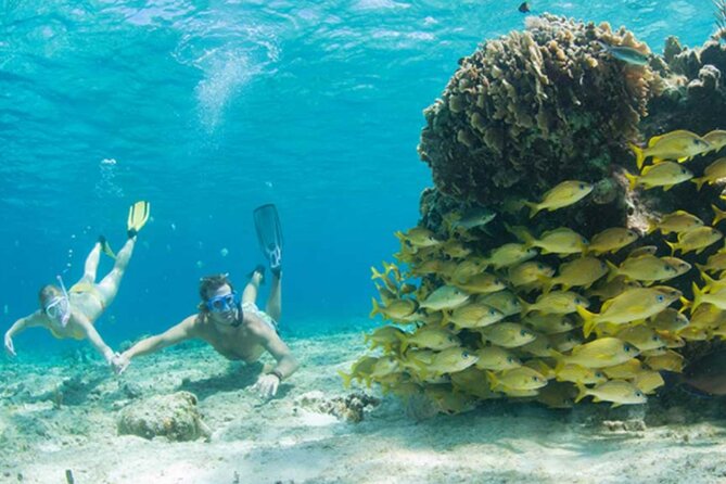 The El Cielo Palancar and Columbia Snorkeling Tour - What to Expect on the Tour