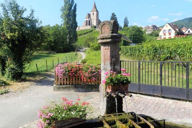 The Emblematic: Visit of Villages, Haut-Koenigsbourg, Wine Tasting - Exploring Alsace Wine Route