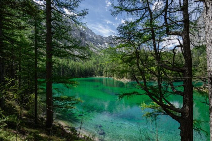 The Enchanting Green Lake: Private Tour in the Austrian Alps - Tour Inclusions