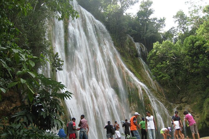 The Enchanting Journey to El Limon Waterfall and Bacardi Island - Participant Recommendations