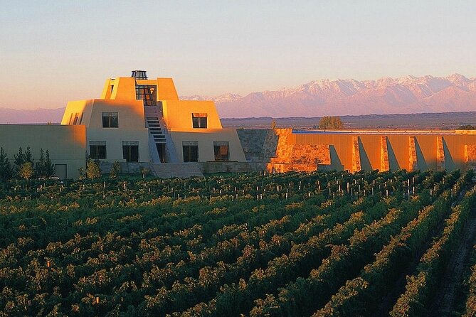 The Enemy Winery + Lunch in Angélica Zapata. Transfer Included - Key Points