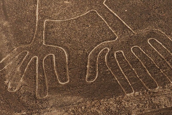 The Enigmatic Nazca Lines & Huacachina Oasis - Private Trip - Inclusions and Exclusions