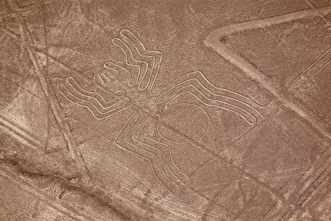 The Enigmatic Nazca Lines & Huacachina Oasis - Private Trip - Pricing and Cancellation Policy