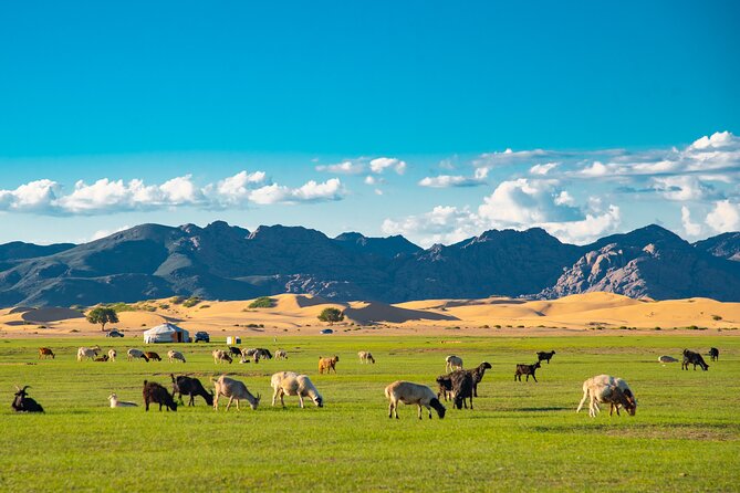 The Essence of Mongolia 4 Days - Inclusions