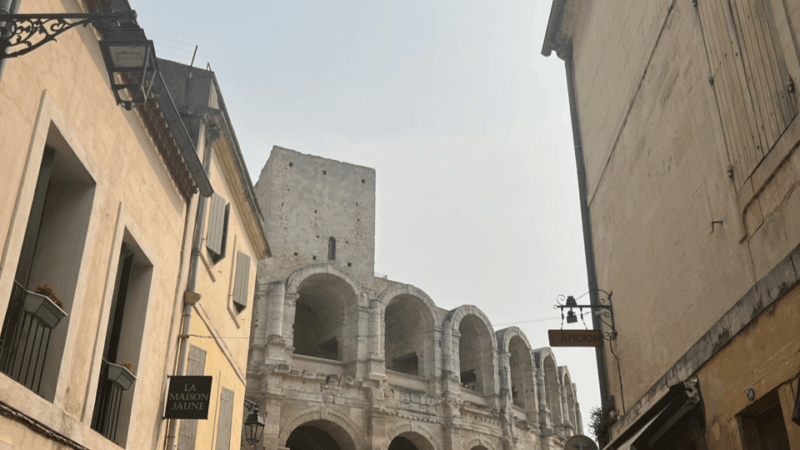 The Essence of Provence : Avignon, St Rémy, Les Baux, Arles - St Paul De Mausole: Van Goghs Refuge