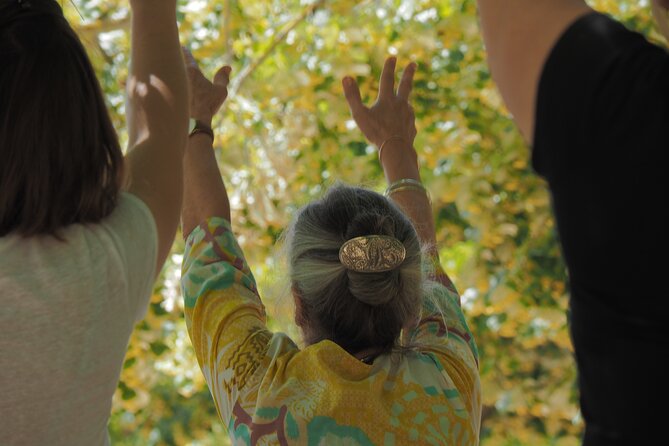 The Essence of Qi, Outdoor Qi Gong Class - Cultivating Mindfulness and Balance