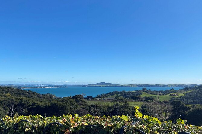 The Essence of Waiheke Wine Tour - Inclusions and Amenities