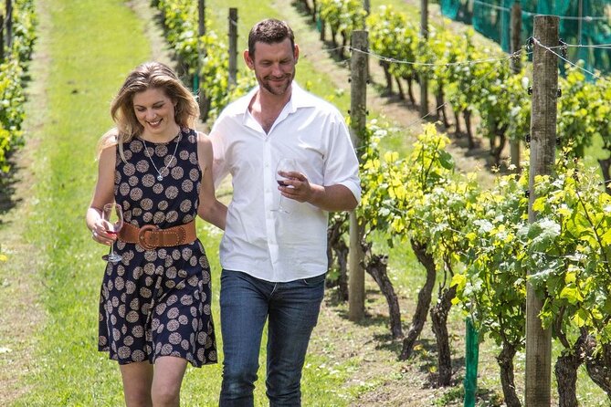The Essence of Waiheke Wine Tour - Scenic Tour Highlights
