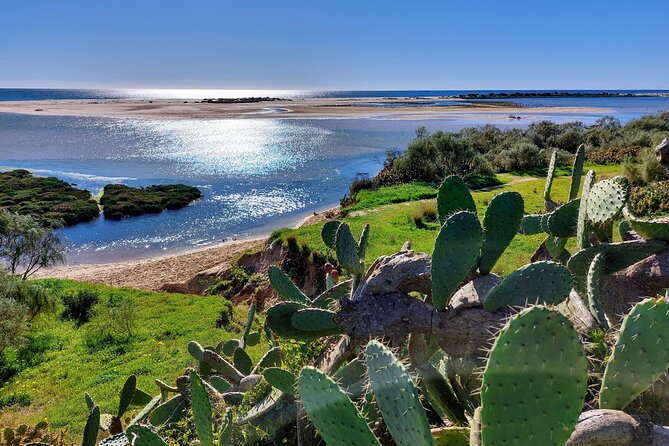 The Essential Algarve Relocation Tour! - Expat Community in the Algarve