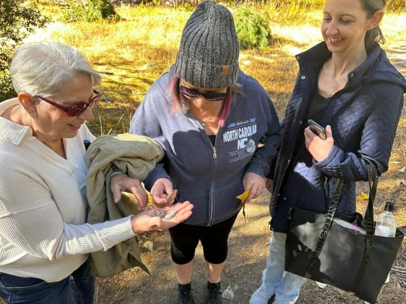 The Evolution of Yosemite: 3-Hour Hiking Tour - FAQ