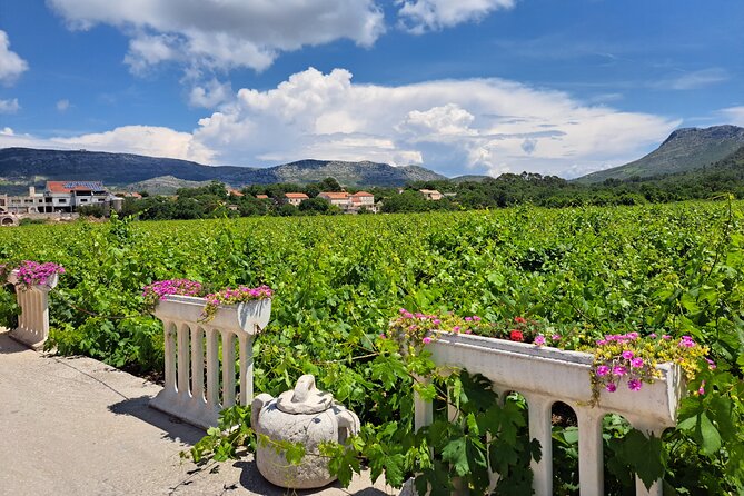 The Exquisite Flavors of Peljesac, Private Wine Tasting Trip - Personalized Wine Tasting Experience