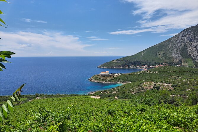 The Exquisite Flavors of Peljesac, Private Wine Tasting Trip - Presentation and Tasting at Wineries