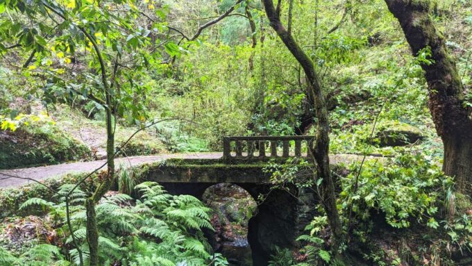 The Fabulous Pico Do Arieiro in 4h: Immersive Experience - Discover Funchal Ecological Park