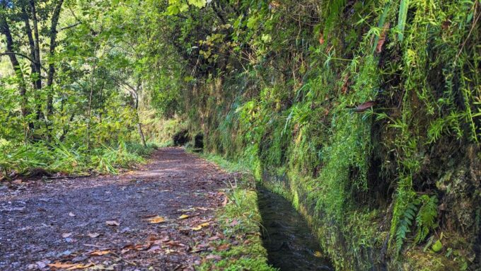 The Fabulous Pico Do Arieiro in 4h: Immersive Experience - Frequently Asked Questions