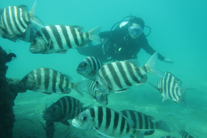 The Fastest SAFE Snorkeling in Florida With Insured Professional - Inclusions