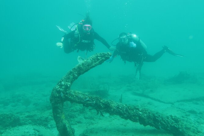 The Fastest SAFE Snorkeling in Florida With Insured Professional - Schedule and Availability