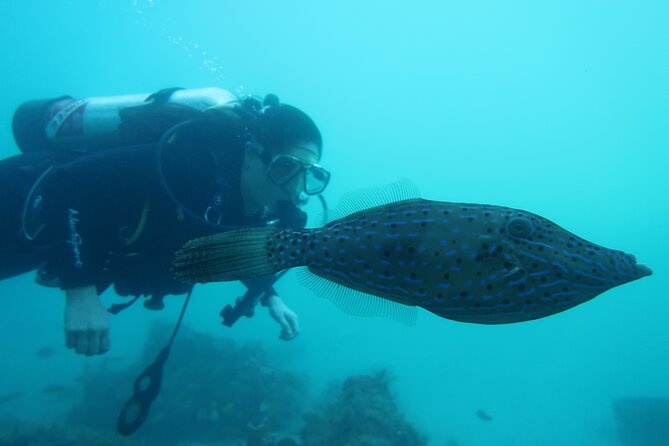 The Fastest SAFE Snorkeling in Florida With Insured Professional - Health and Safety Information