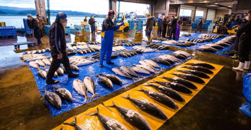 The Finest Ocean Gastronomy Tour. - Highlights