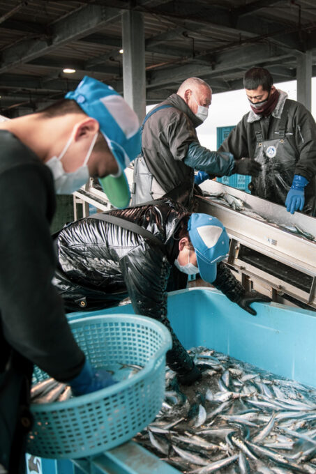 The Finest Ocean Gastronomy Tour. - Guided by Fish Wholesaler
