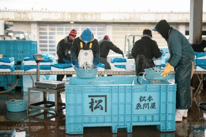 The Finest Ocean Gastronomy Tour. - Himi Fishing Port Auction