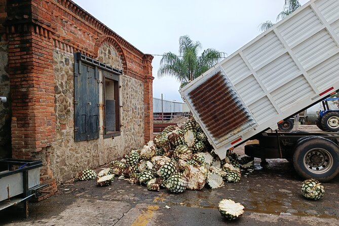 THE FIRE TOUR - Pyramids, Volcanoes, Agaves & Tequila - Traditional Local Lunch