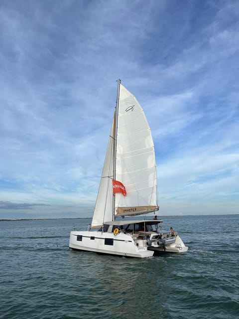 The Fleet in Ré - 5:30 AM Sailing Catamaran Long Cruise - Cruise Overview