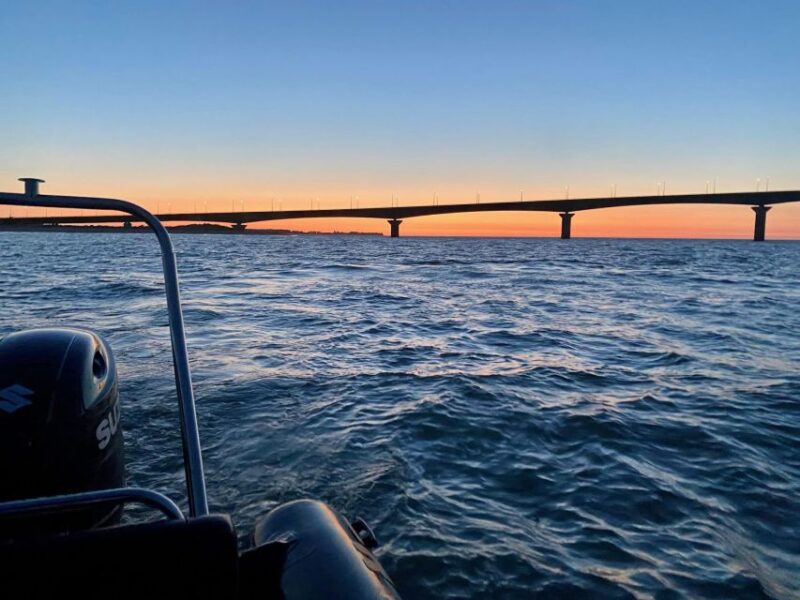 The Fleet: Privatization of Semi-Rigid With Skipper - Discover Banc Du Bucheron