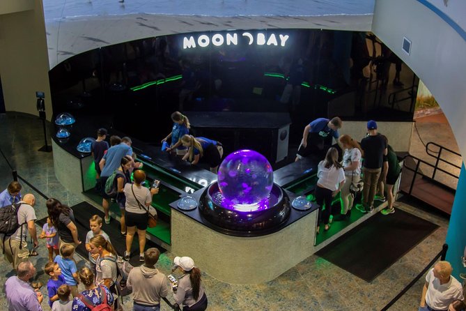 The Florida Aquarium in Tampa General Admission - Admission and Parking Details