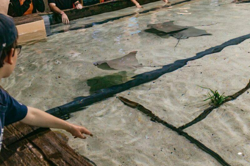 The Florida Aquarium Ticket - Concerns and Considerations