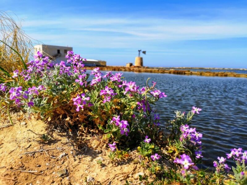 The Florio Family, Marsala and Trapani, Wine and Salt - Tour Exclusions