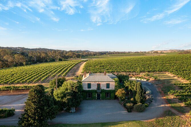 The Florita Wine Tasting Experience - A Closer Look at the Florita Wine Tasting Experience