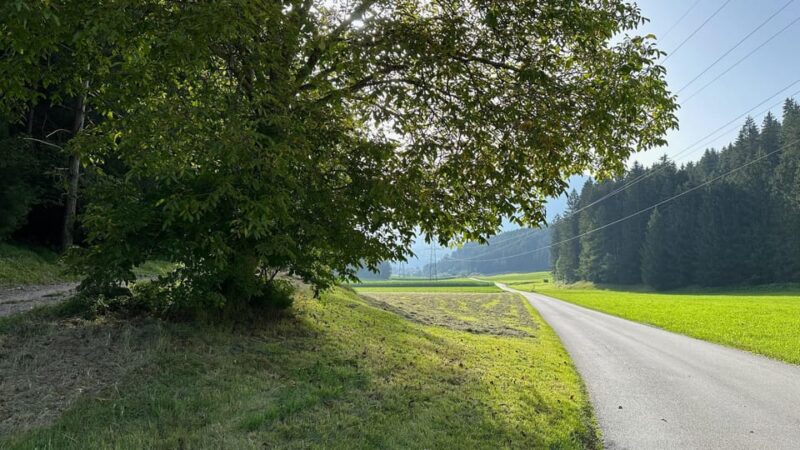 The Forest as an Escape Room for the Whole Family - Experience Highlights