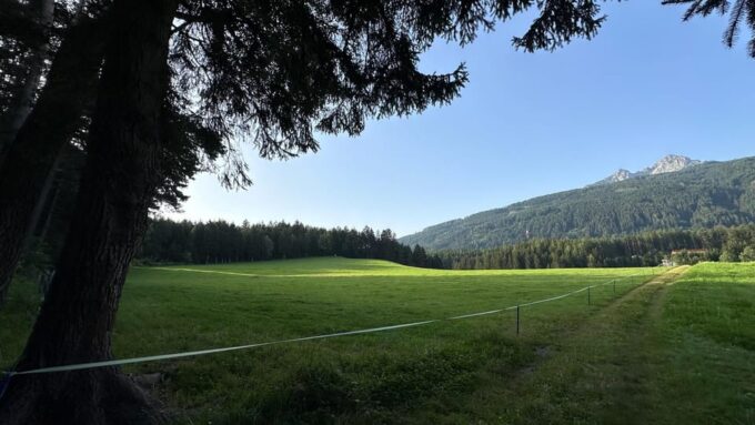 The Forest as an Escape Room for the Whole Family - Post-Activity Option