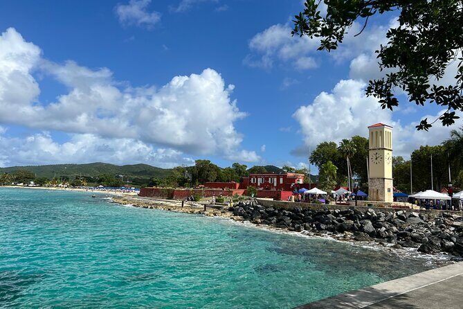 The Frederiksted St. Croix Sea Turtles Snorkeling Tour - Analyzing Value & Practical Details