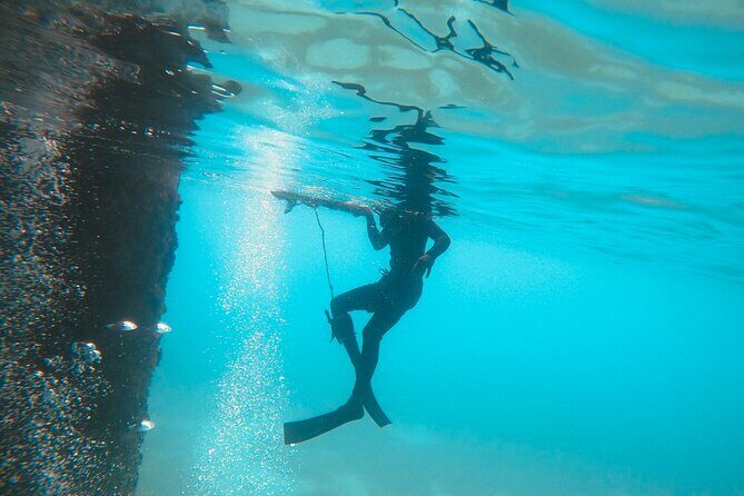 The Frederiksted St. Croix Sea Turtles Snorkeling Tour - Who Would Love This Tour?
