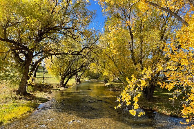 The Full Monty: Spearfish Canyon, Deadwood and Devils Tower - Picnic Lunch and Wildlife Viewing